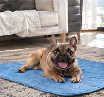 French Bulldog on the Arctic Freeze Mat indoors