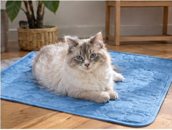 Fluffy white cat resting on the Arctic Freeze Mat